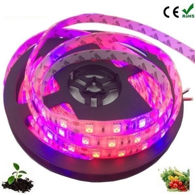 씨드 시작 램프 몸소 재료 PC LED 성장 빛 스트립 5050 DC 12v/24v